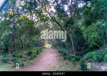 Die schöne sonnige Wanderstraße im Sai Kung East Country Park in Hongkong Stockfoto