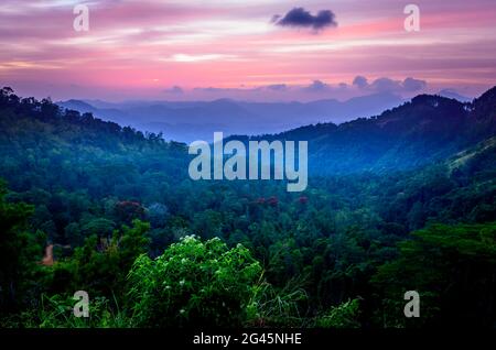 Teeplantage in Sri Lanka Highland unter wolkigen Himmel Stockfoto