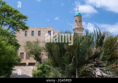 Blick auf die Al-Bahr Moschee oder die Meeresmoschee, Minarett der Moschee in Old Jaffa, den alten Hafen von Jaffa, die Mittelmeerküste in Tel Aviv Yaffo, Israel Stockfoto