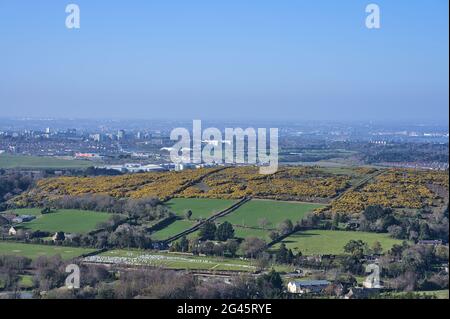 Helle, luftige Ansicht der gelb blühenden gorse grünen Felder, des Friedhofs und der Stadt Dublin von den Ballycorus Lead Mines aus gesehen am sonnigen Tag Ballycorus Stockfoto