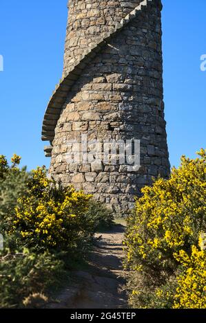Schöne helle Nahaufnahme der vertikalen Ansicht von Ballycorus Blei Bergbau und Schmelzen Schornstein Turm und Spur in wild gelb blühenden Gorse Pflanze Ballycorus Stockfoto