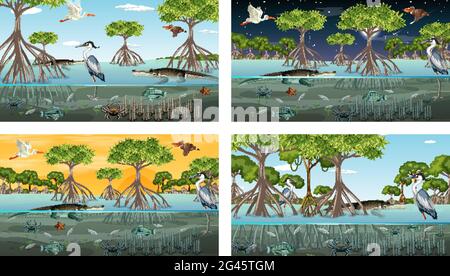 Verschiedene Mangrovenwaldlandschaftsszenen mit Tieren und Pflanzen Illustration Stock Vektor