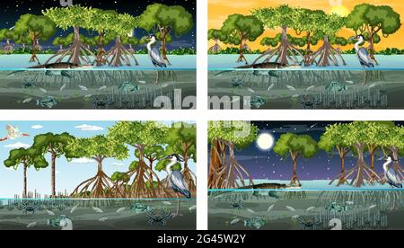 Verschiedene Mangrovenwaldlandschaftsszenen mit Tierdarstellung Stock Vektor