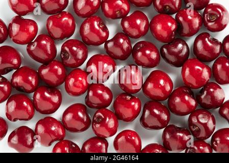 Rote Kirschen auf Weiß, Design für Hintergründe und Texturen Stockfoto