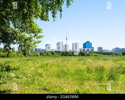 Grüne bewachsene Wiese und Wohngebiet am Horizont am sonnigen Sommertag Stockfoto