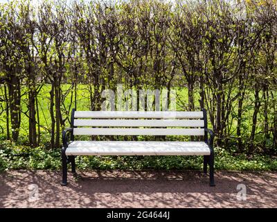 Leere weiße Bank auf Gasse im Stadtpark am sonnigen Frühlingstag Stockfoto
