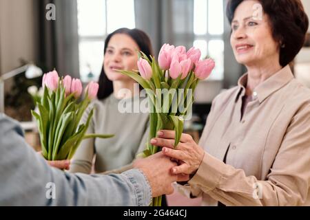Zwei glückliche Frauen, die rosa Tulpen aus den Händen eines Mannes nehmen Stockfoto