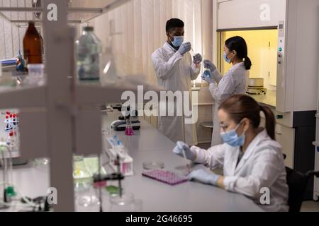 Gruppe junger Wissenschaftler, die im wissenschaftlichen Labor mit Flüssigkeiten in Kolben arbeiten Stockfoto