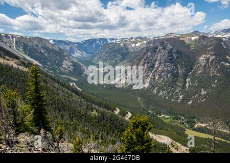 Ein Blick auf die Natur im Custer National Forest, Montana Stockfoto