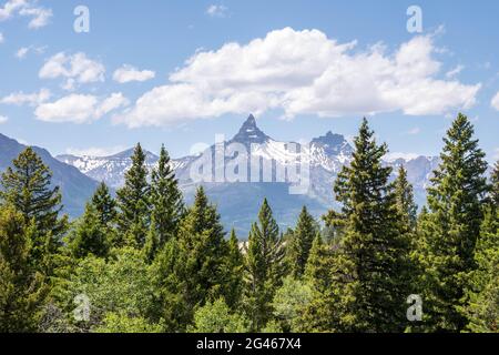 Ein Blick auf die Natur im Custer National Forest, Montana Stockfoto