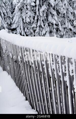 Vertikale Aufnahme eines Holzzauns mit einer Schneeschicht mit schneebedeckten Bäumen Stockfoto