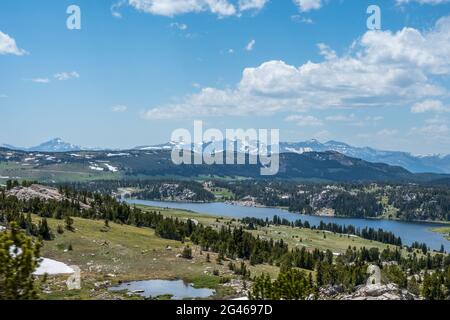 Ein Blick auf die Natur im Custer National Forest, Montana Stockfoto