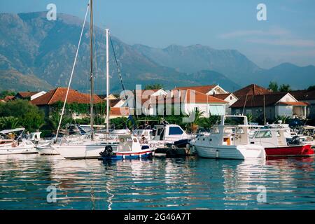 Porto Montenegro Yacht. Elite Bereich von Tivat Stockfoto