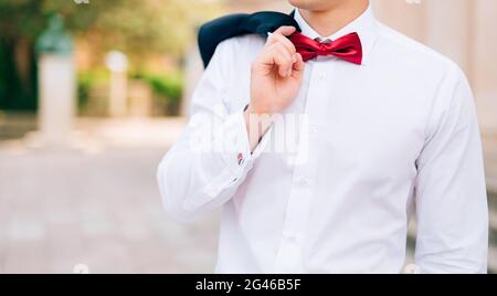 Die Fliege. Schließen Sie den Rahmen Stockfoto