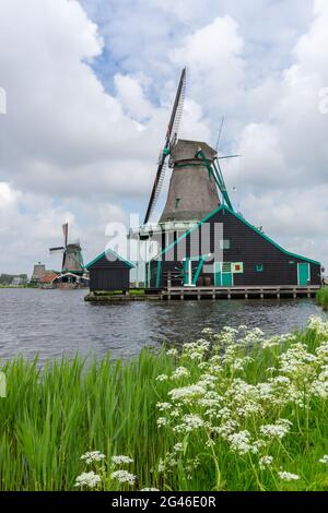 Blick auf die historischen Windmühlen von Zaanse Schaans in Nordholland Stockfoto