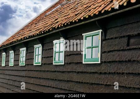 Nahaufnahme des geteerten hölzernen Abstellgleis eines traditionellen holländischen Bauernhauses mit vielen kleinen grünen Fenstern Stockfoto