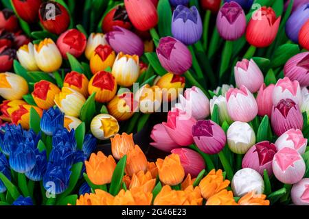 Nahaufnahme von bunten und lebendigen Tulpenblumen aus Holz Stockfoto