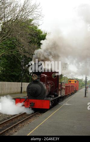 'Fiji' an der Dinas Junction Station. Stockfoto