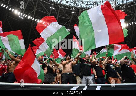 Budapest, Ungarn. Juni 2021. Fußball: Europameisterschaft, Ungarn - Frankreich, Vorrunde, Gruppe F, 2. Spieltag in der Puskas Arena: Fans winken ungarische Flaggen. Quelle: Robert Michael/dpa-Zentralbild/dpa/Alamy Live News Stockfoto