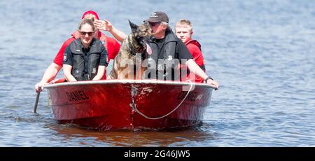 Neumünster, Deutschland. Juni 2021. 19. Juni 2021, Schleswig-Holstein, Neumünster: Der Spurensuchhund Thor sucht mit Nothelfer am Einfeldersee nach einem minderjährigen Schwimmer, der hier seit dem 18. Juni 2021 vermisst wird. Foto: Markus Scholz/dpa Quelle: dpa picture Alliance/Alamy Live News Stockfoto