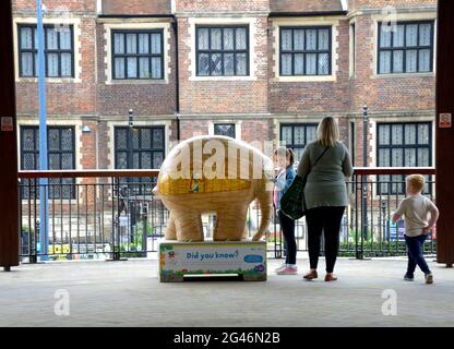 Maidstone, Kent, Großbritannien. Juni 2021. Eine riesige Herde von 81 farbenfrohen Elmers - basierend auf David McKees Kinderbuchfigur - erschien über Nacht in Maidstone, Kent, zu Beginn einer 9-wöchigen Parade zur Unterstützung des Heart of Kent Hospice. Die Elmers wurden von bekannten und unbekannten Künstlern entworfen und werden am 9. August versteigert, um Gelder für das Hospiz zu sammeln. „Mummyphan“-Quelle: Phil Robinson/Alamy Live News Stockfoto