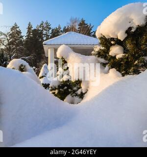 Wintergarten mit einer dicken Schicht von flauschigen weißen Schnee an einem sonnigen Tag abgedeckt. Natürliche Winter Hintergrund Stockfoto