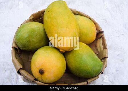 Frische Kesar Mango Sorte aus Indien, gewachsen in Gir Gujarat auch in Maharastra.. Aromatischer Geschmack Bio-Mangos. Sommersaison Special Fruit Mangoe i Stockfoto