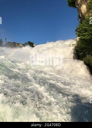 Rheinfälle sind Europas größte Wasserfälle in der Nähe von Schaffhausen in der Schweiz 28.5.2021 Stockfoto
