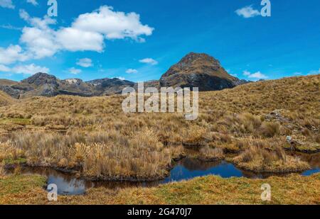 Sumpflagune im Nationalpark von Cuenca, Ecuador. Stockfoto