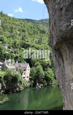 Die Schluchten des Tarn und des Jonte und die Grands Causses, die Top-Stätte von Okzitanien, werden bald zur Grand Site von Frankreich erklärt. Das Dorf St Chely du tarn liegt oberhalb des Flusses in einer spektakulären Lage Stockfoto