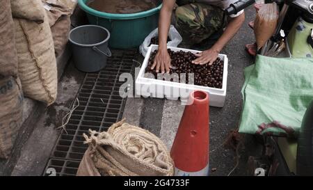 Gewürze Kräuter getrocknete Lebensmittel Rohstoffe Chinatown Market Area Bangkok Thailand Stockfoto