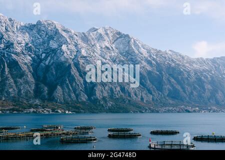 Eine Augustie und Fischfarm in Kotor Bay, Montenegro, gegen die schneebedeckten Gipfel der Berge, an der Bucht. Stockfoto