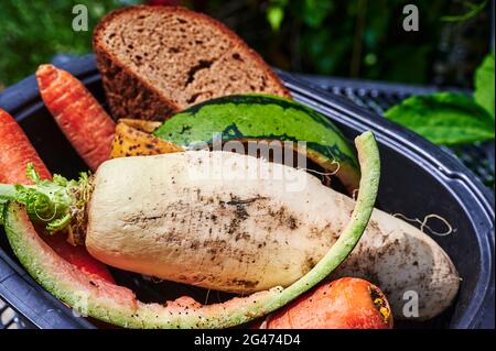 Blick in eine bio-Container mit verschiedenen organischen Abfälle zur Verwertung. Stockfoto