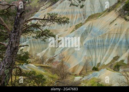 Ravine corboeuf,rosieres,Haute loire,frankreich Stockfoto