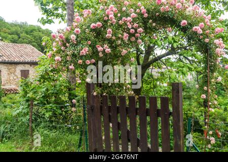 Beaumont, ardeche, frankreich Stockfoto