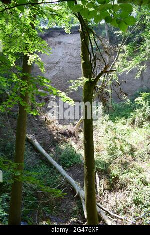 Wolfsschlucht in der Eifel Stockfoto
