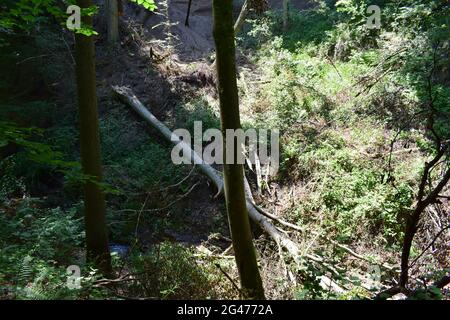 Wolfsschlucht in der Eifel Stockfoto