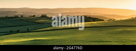 Sonnenuntergang über Feldern im Berry Pomeroy Village, Devon, England, Europa Stockfoto