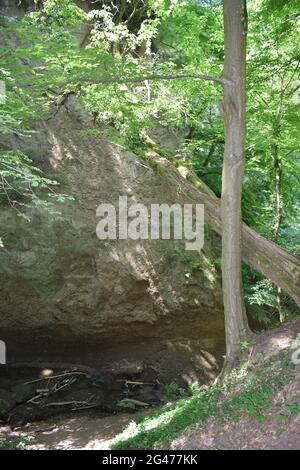 Wolfsschlucht in der Eifel Stockfoto