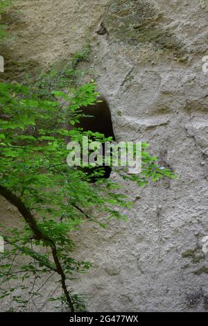 Wolfsschlucht in der Eifel Stockfoto