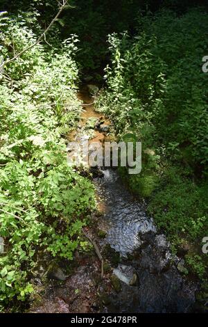 Wolfsschlucht in der Eifel Stockfoto