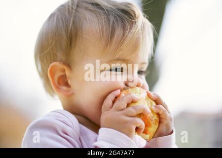 Das kleine Mädchen knabbert einen Apfel, während es ihn mit den Händen hält. Nahaufnahme. Hochformat Stockfoto