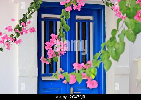 Malerische Ecke an einem traditionellen Haus mit blauer Holztür und blühenden Blumen, auf Kythnos Insel, Kykladen, Griechenland, Europa Stockfoto