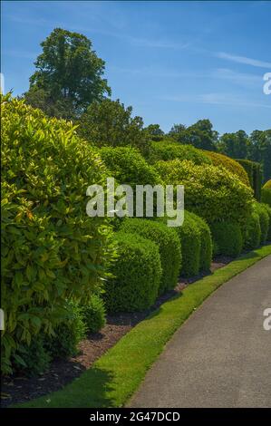 Park- und Wald- und Gartenlandschaften Stockfoto