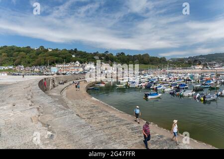 Blick vom Cobb der Fischerboote im Hafen, Lyme Regis, Dorset, England, Großbritannien Stockfoto