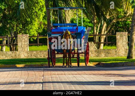 Pferd und Wagen auf einem Hotelparkplatz am Playa Pesquero Hotel in Holguin, Kuba, warten darauf, Touristen auf eine Fahrt zu nehmen Stockfoto