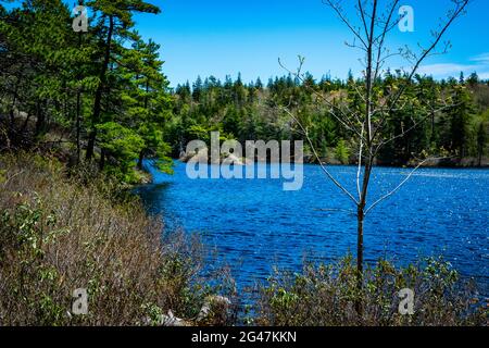 Charlies See in der Wildnis sind von blauen Berg Birken Bucht Seen Stockfoto