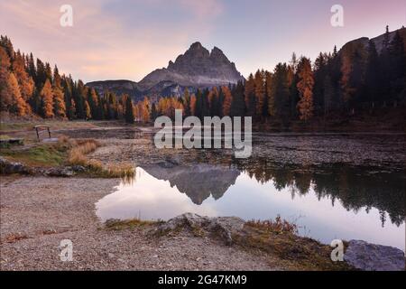 Majestätische Herbstlandschaft, alpine Gletschersee und gelb-Kiefern, Spitzen Antorno-See mit berühmten Tre Cime di Lavaredo im Hintergrund, Dolomiten, Ita Stockfoto