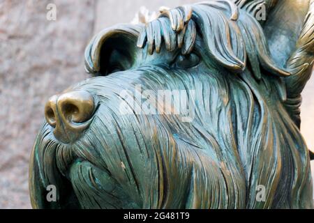 Fala, der schottische Terrier-Hund von Präsident Franklin Delano Roosevelt. In der Mall in Washington DC. Stockfoto