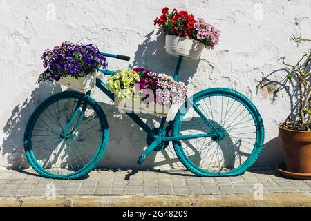 Fahrrad mit Blumenkörben, die an einer alten weißen Wand gelehnt sind Stockfoto